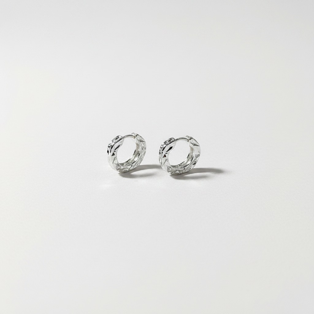 Fashion Earrings (Sliver)