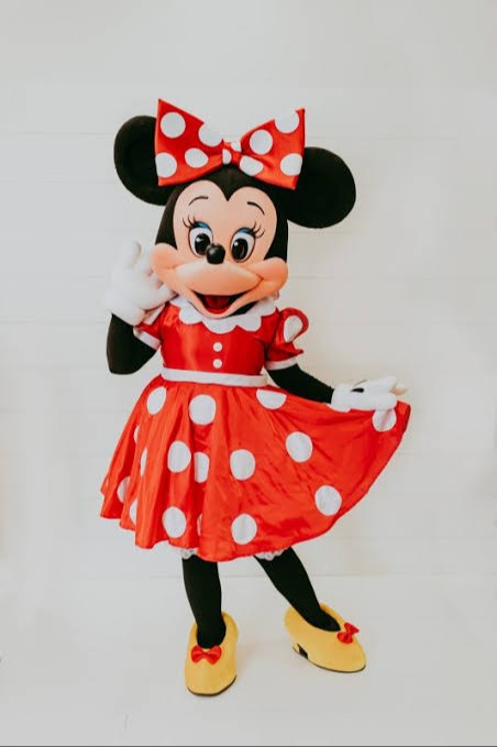 Minny Mouse Costume