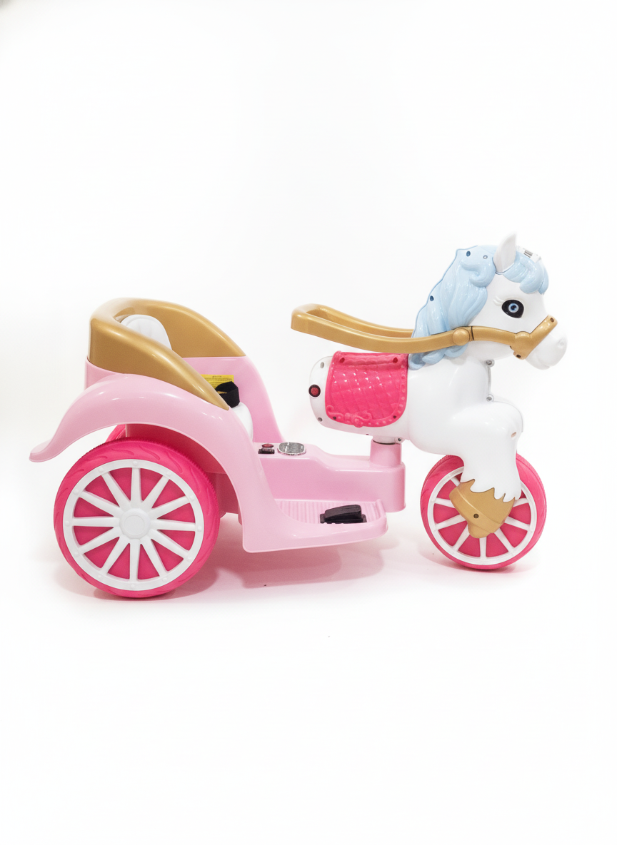 Unicorn Moving Tricycle WNMT-602