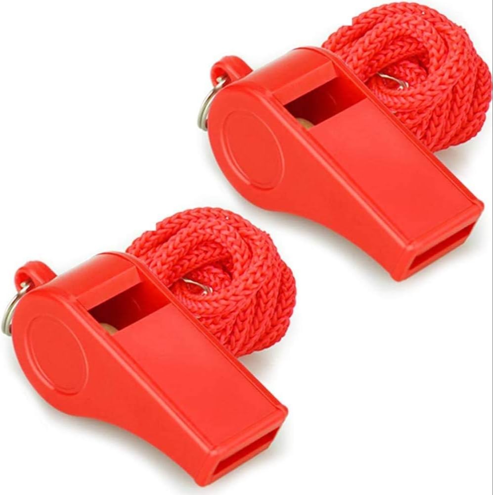 Whistle
