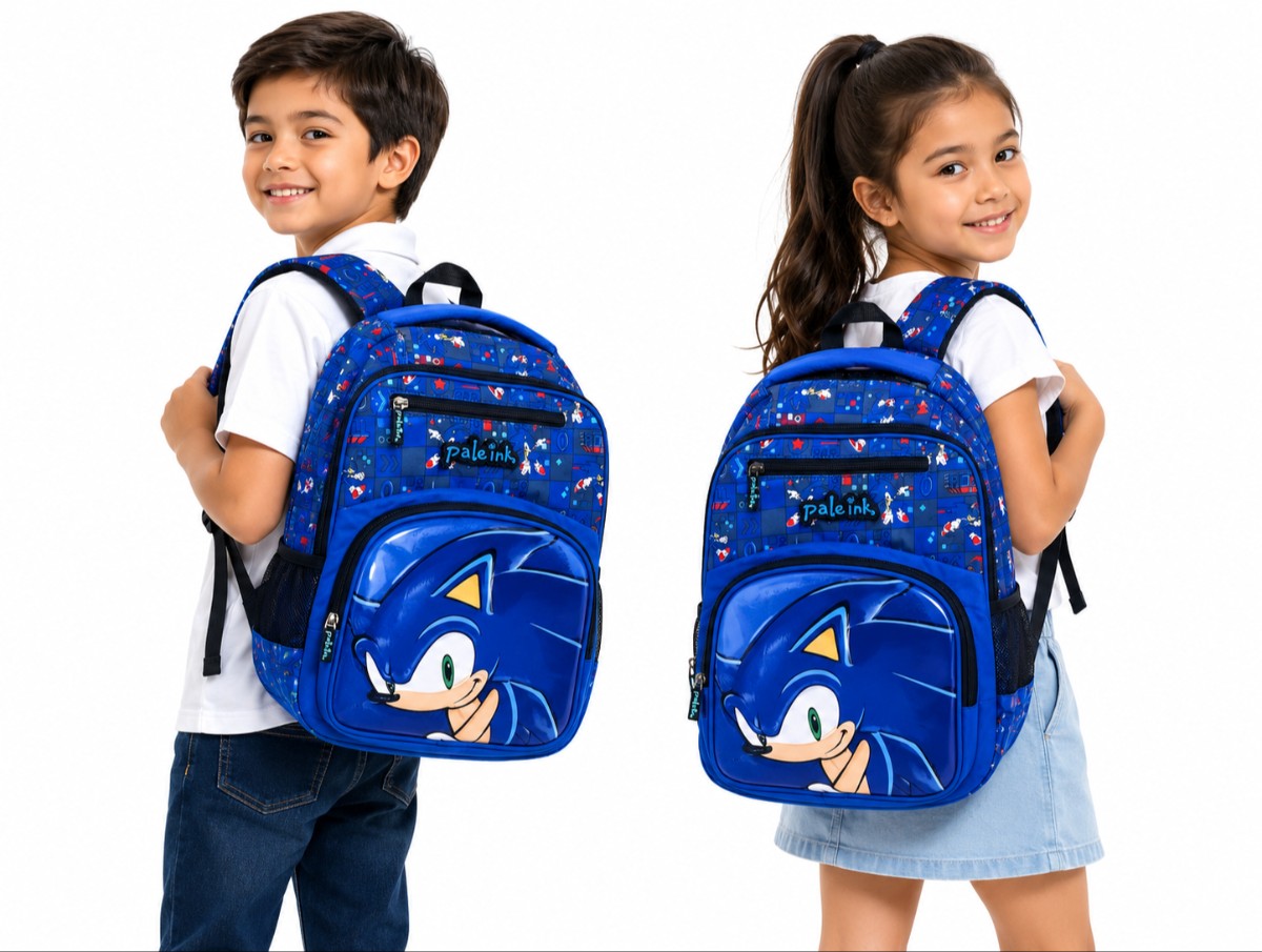 Paleink Back To School Backpack (Sonic The Hedge)