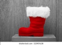 Merry Christmas Socks (Shoe).