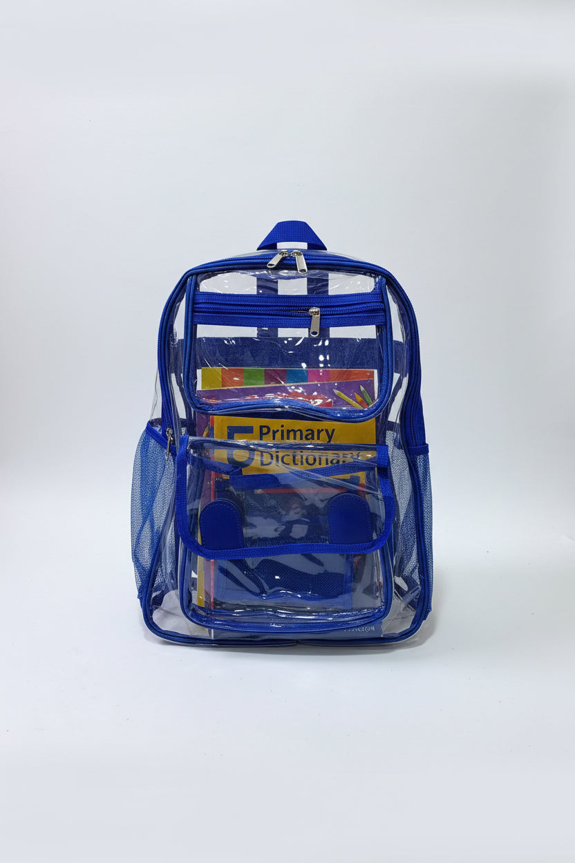 Transparent Backpack