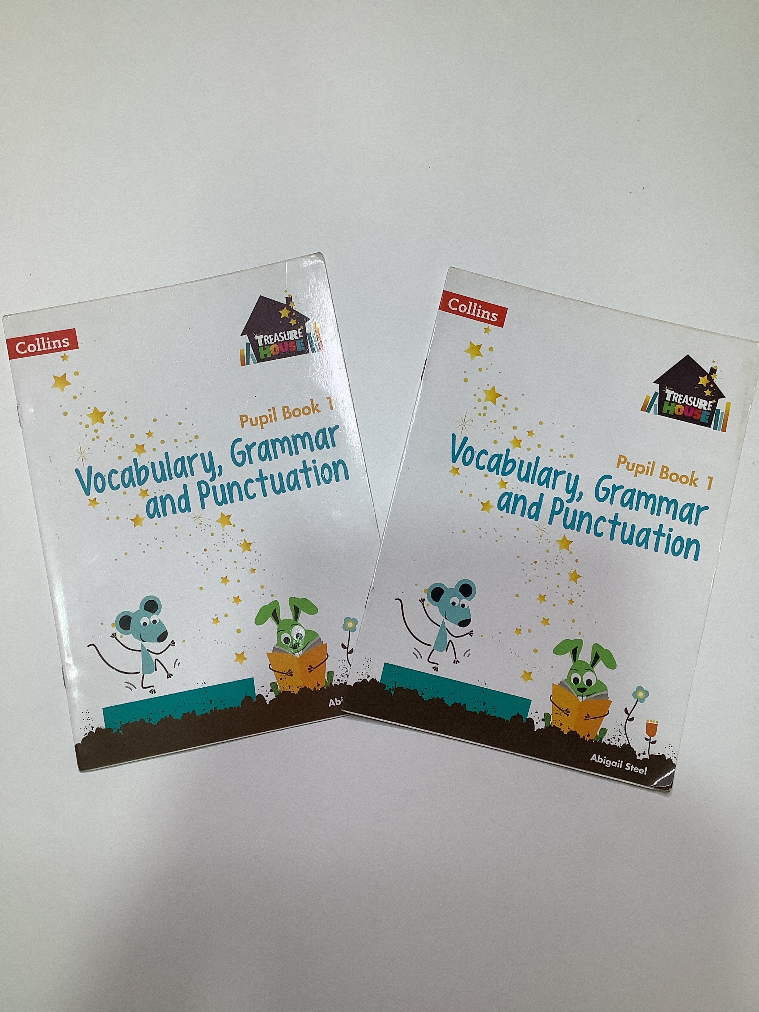 Collins treasure house vocabulary,grammar and punctuation (pupil book1)