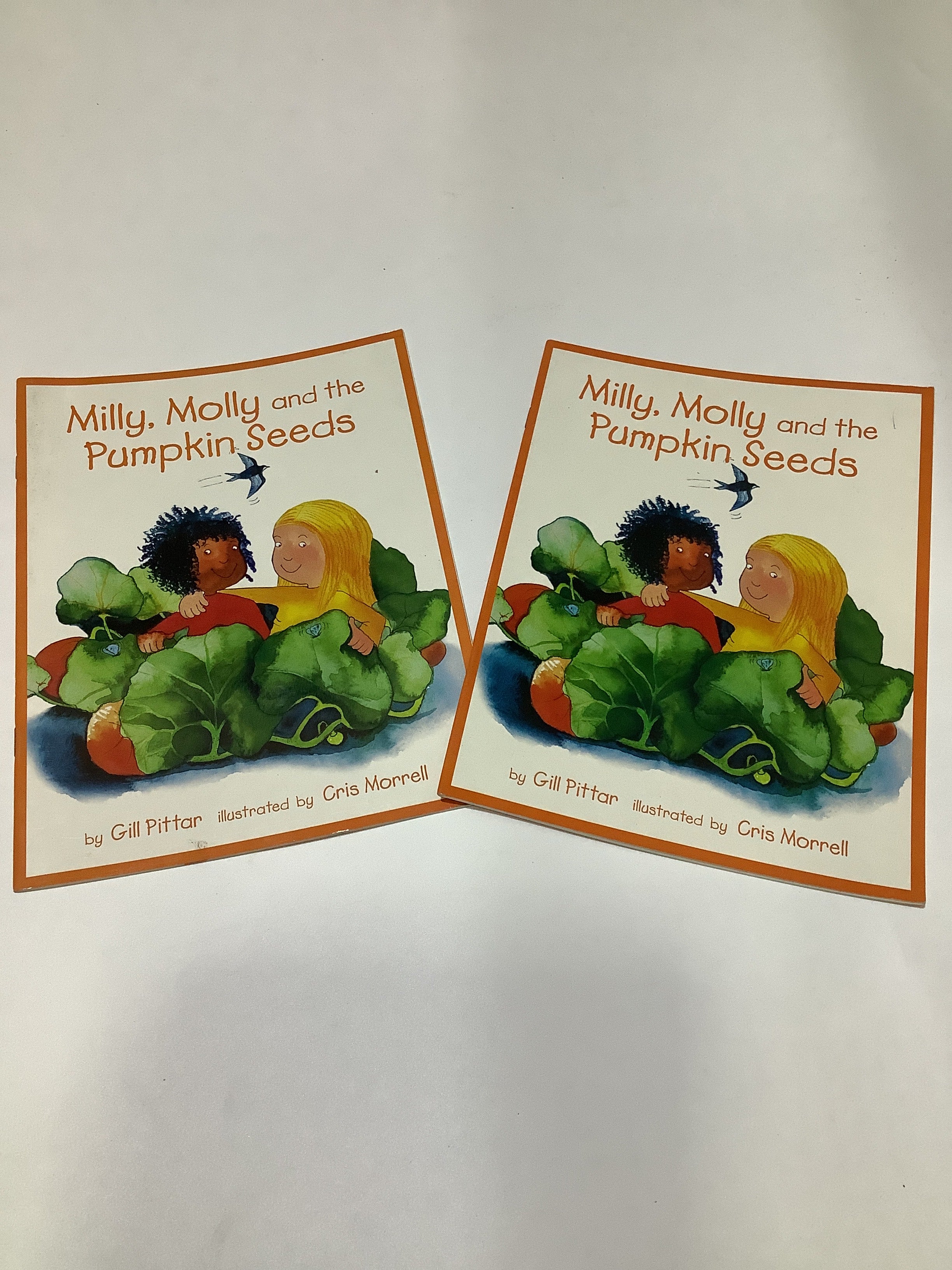 Milly, Molly and the pumpkin seeds