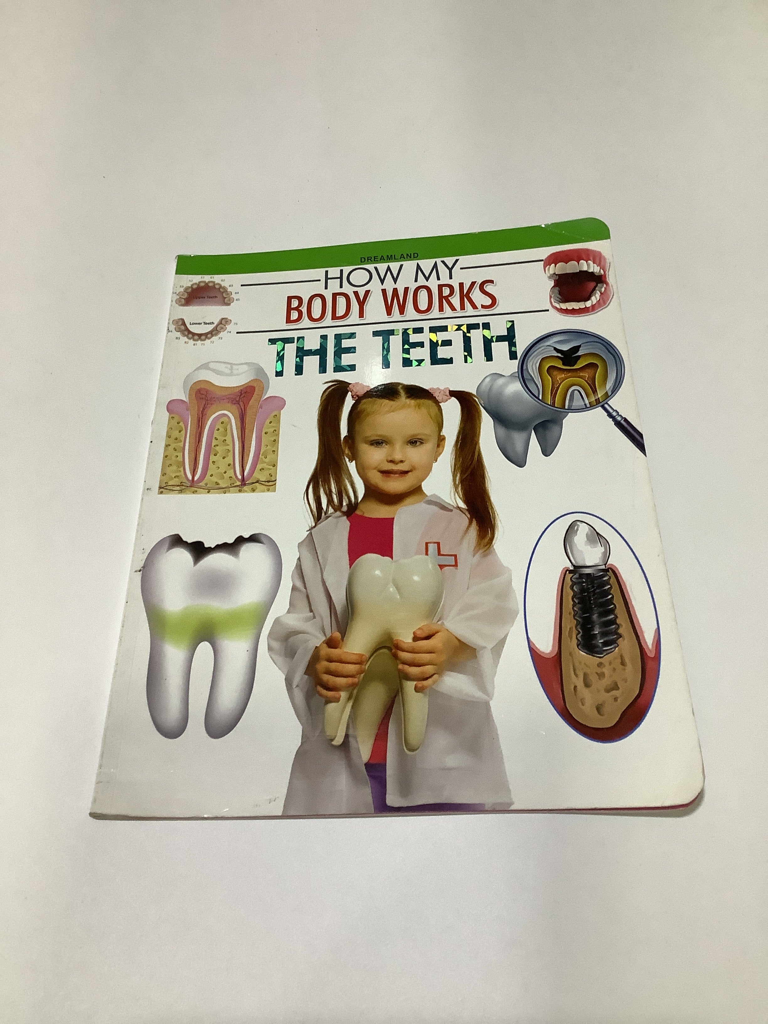 Dreamland (How my body works the teeth)