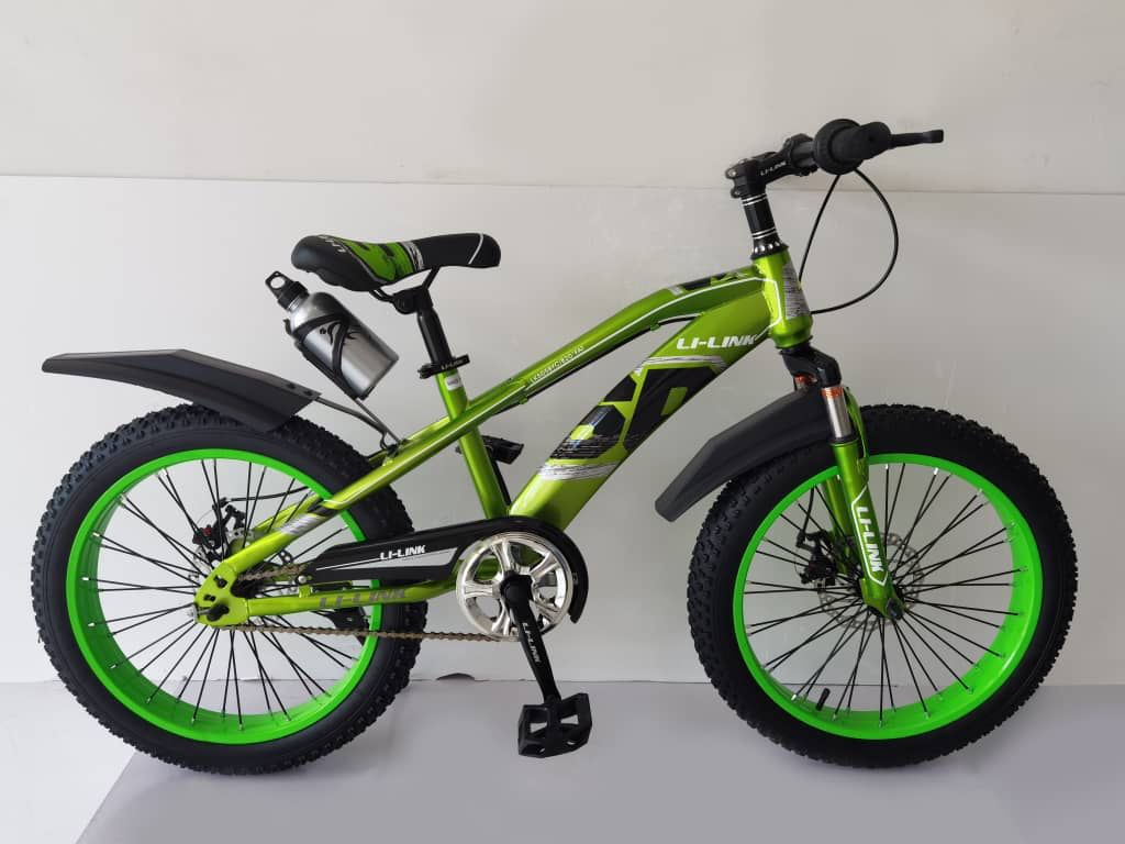 Adkids Children’s Bicycle (20-Inch Wheel Size)
