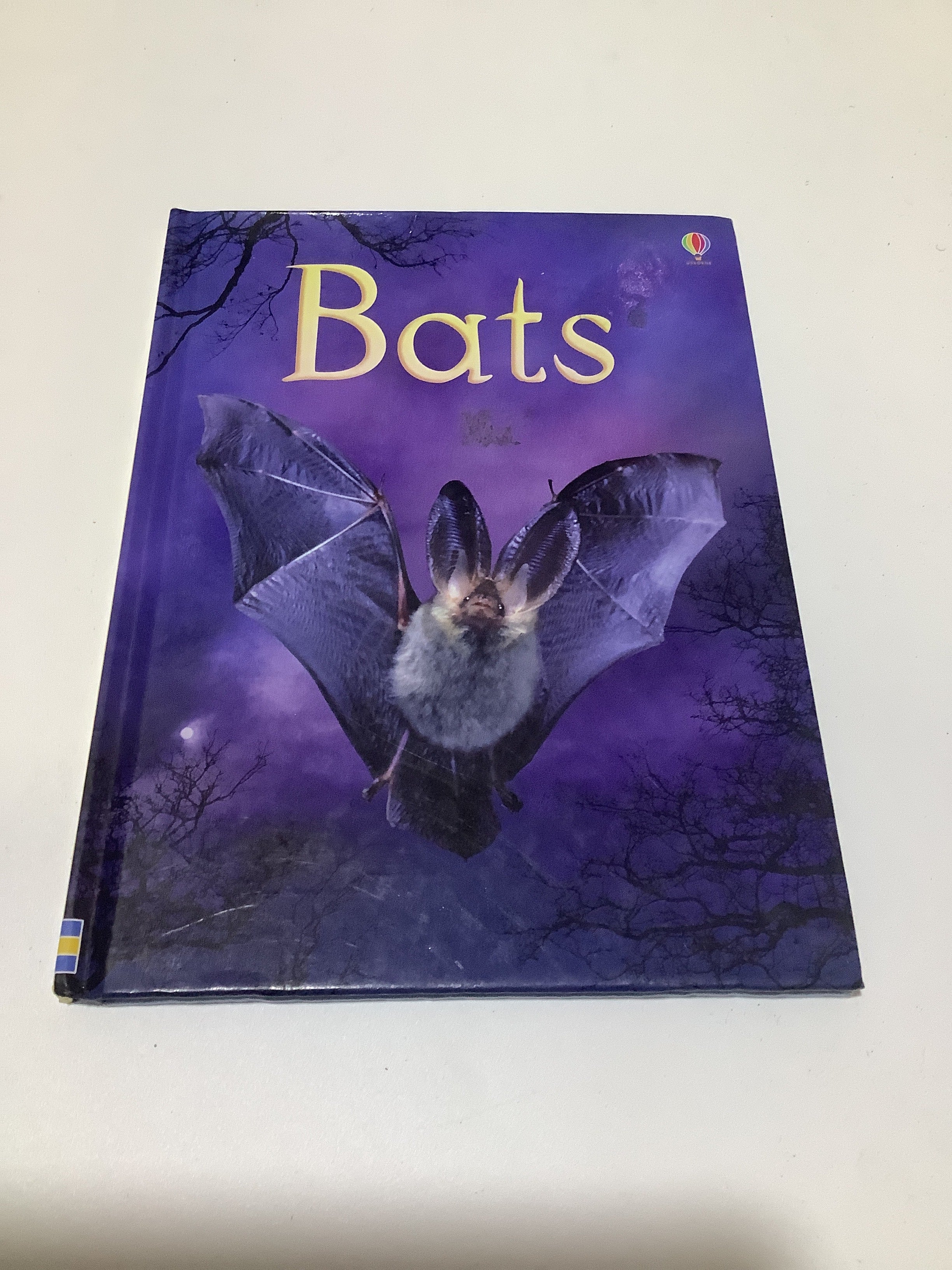 Usborne beginners (Bats)