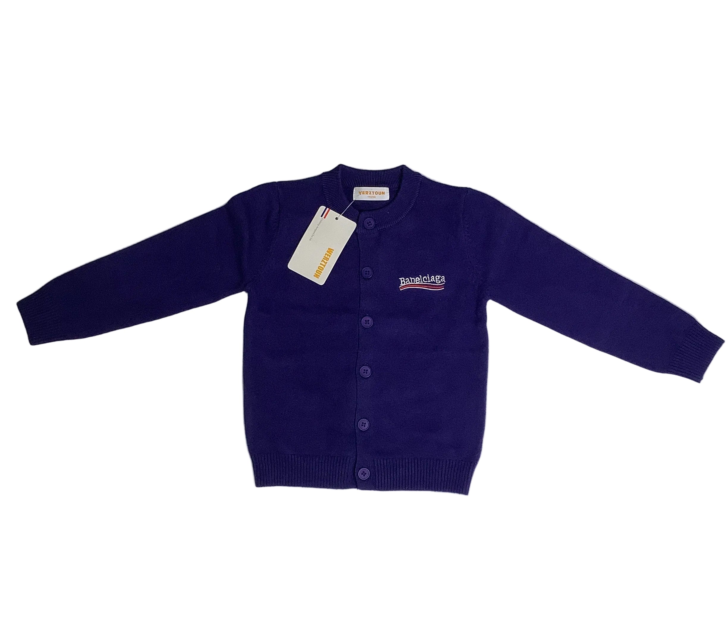 Werztoun Banelciaga hooded sweater