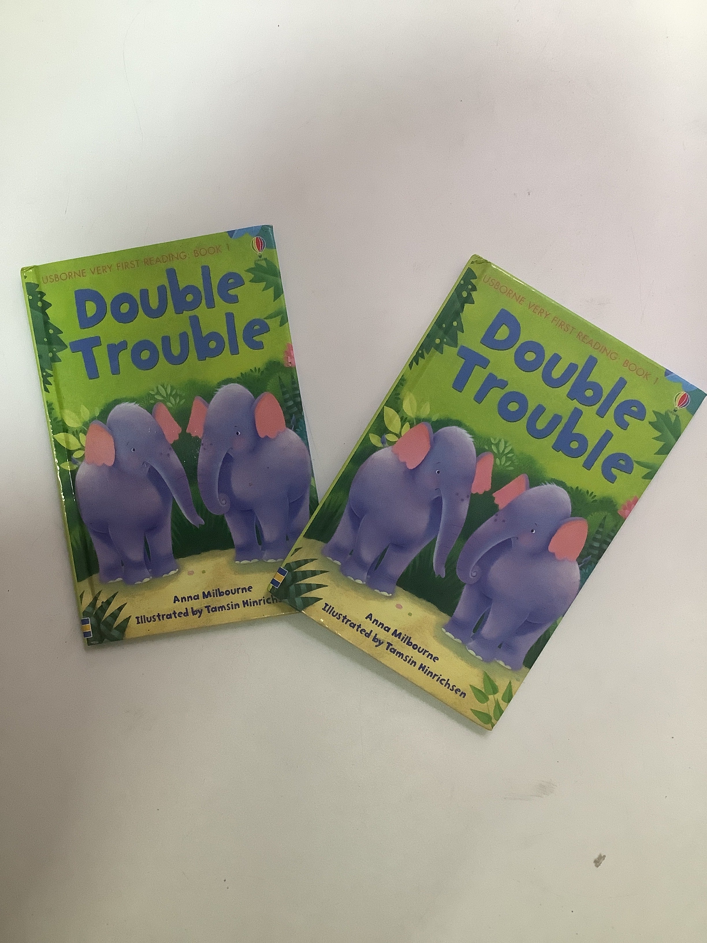 Usborne First Reading(Double Trouble)