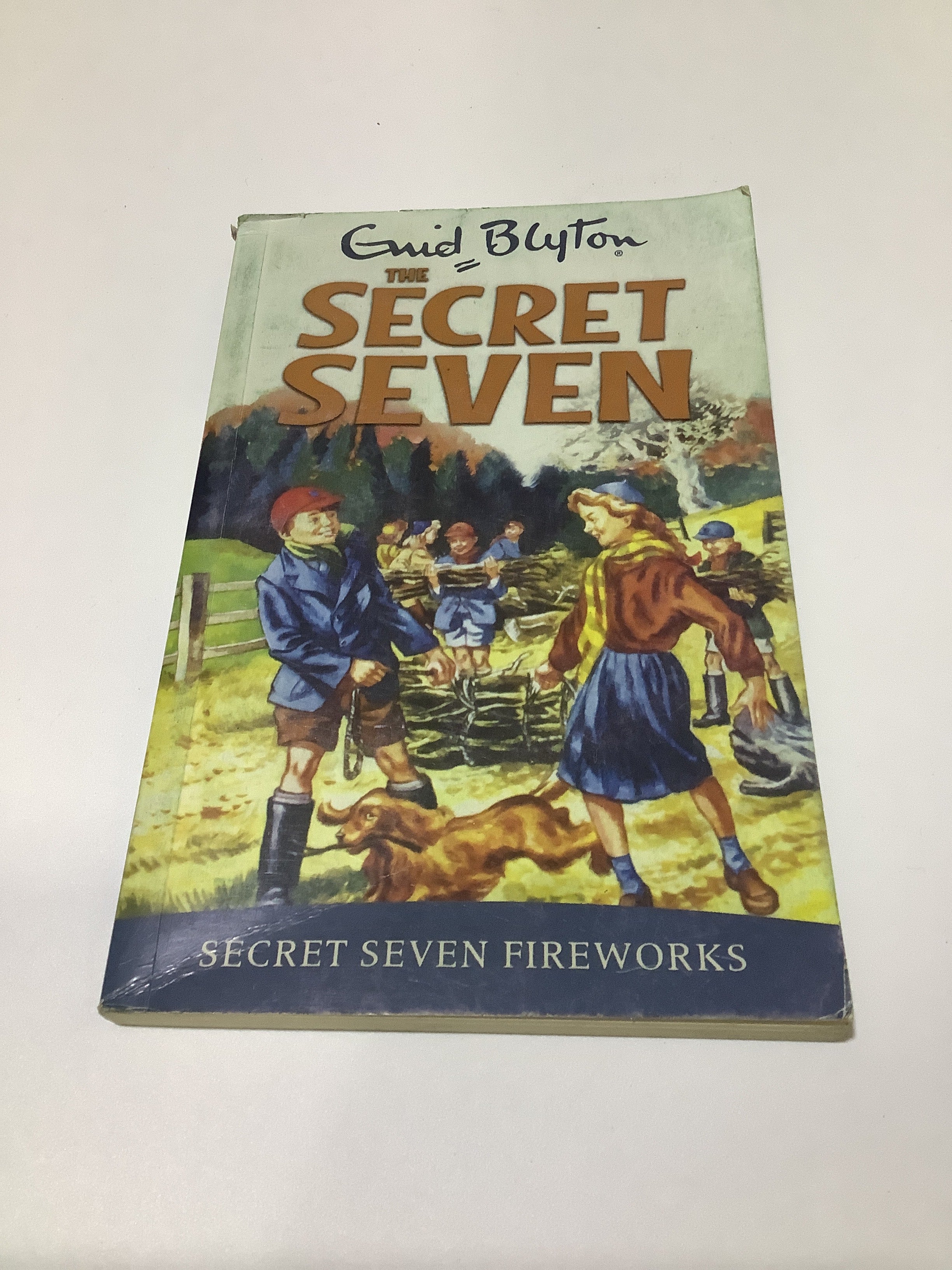 GUID BLYTON(secret seven fireworks )