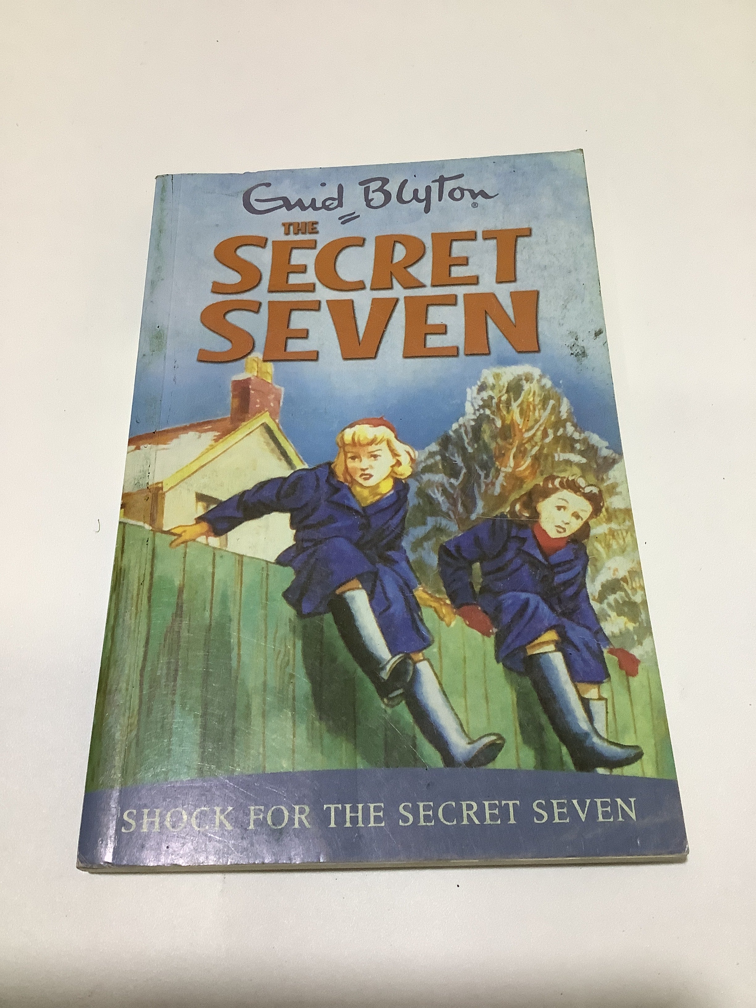 GUID BLYTON(Shock for the secret seven)