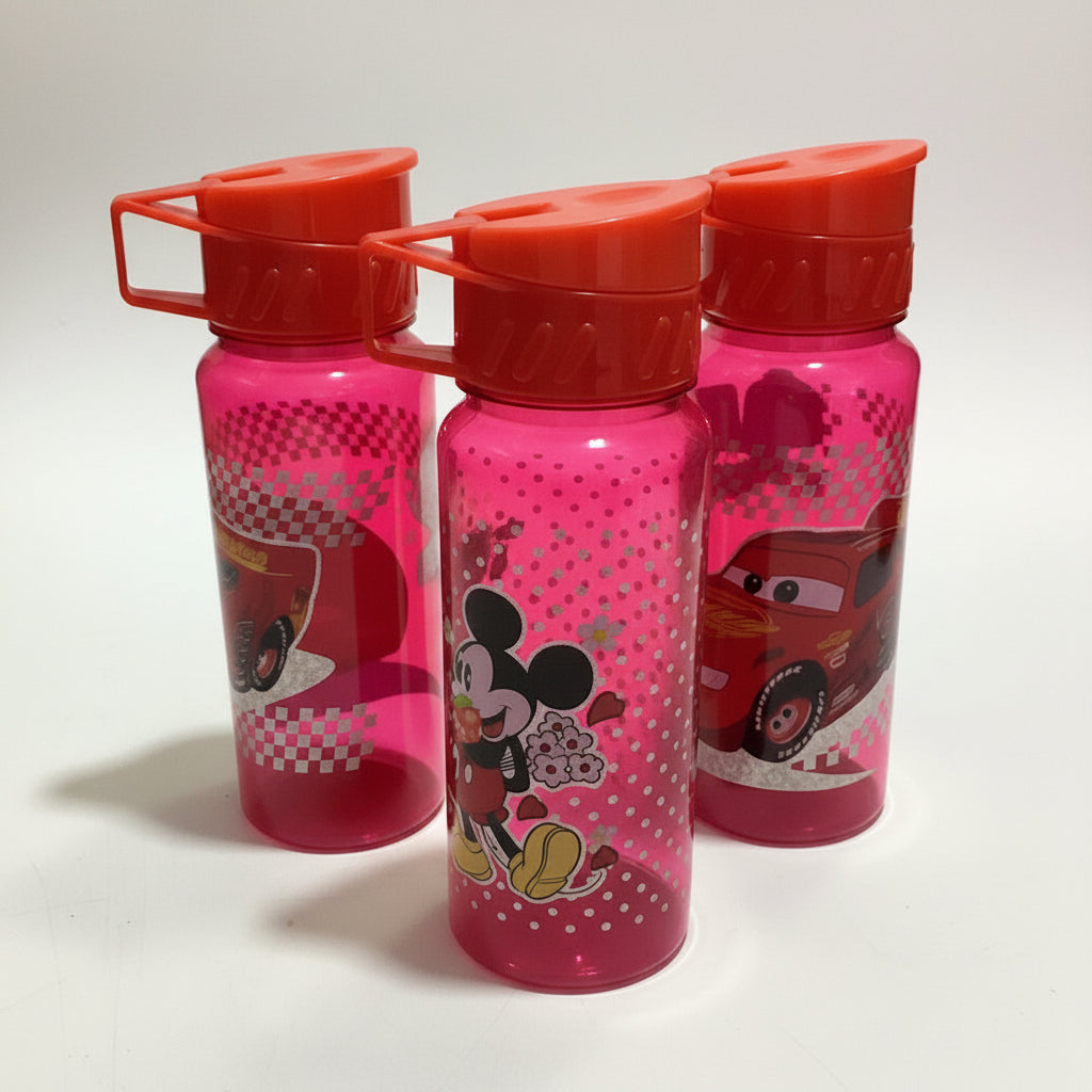 SPORTS CHARACTER WATER BOTTLE