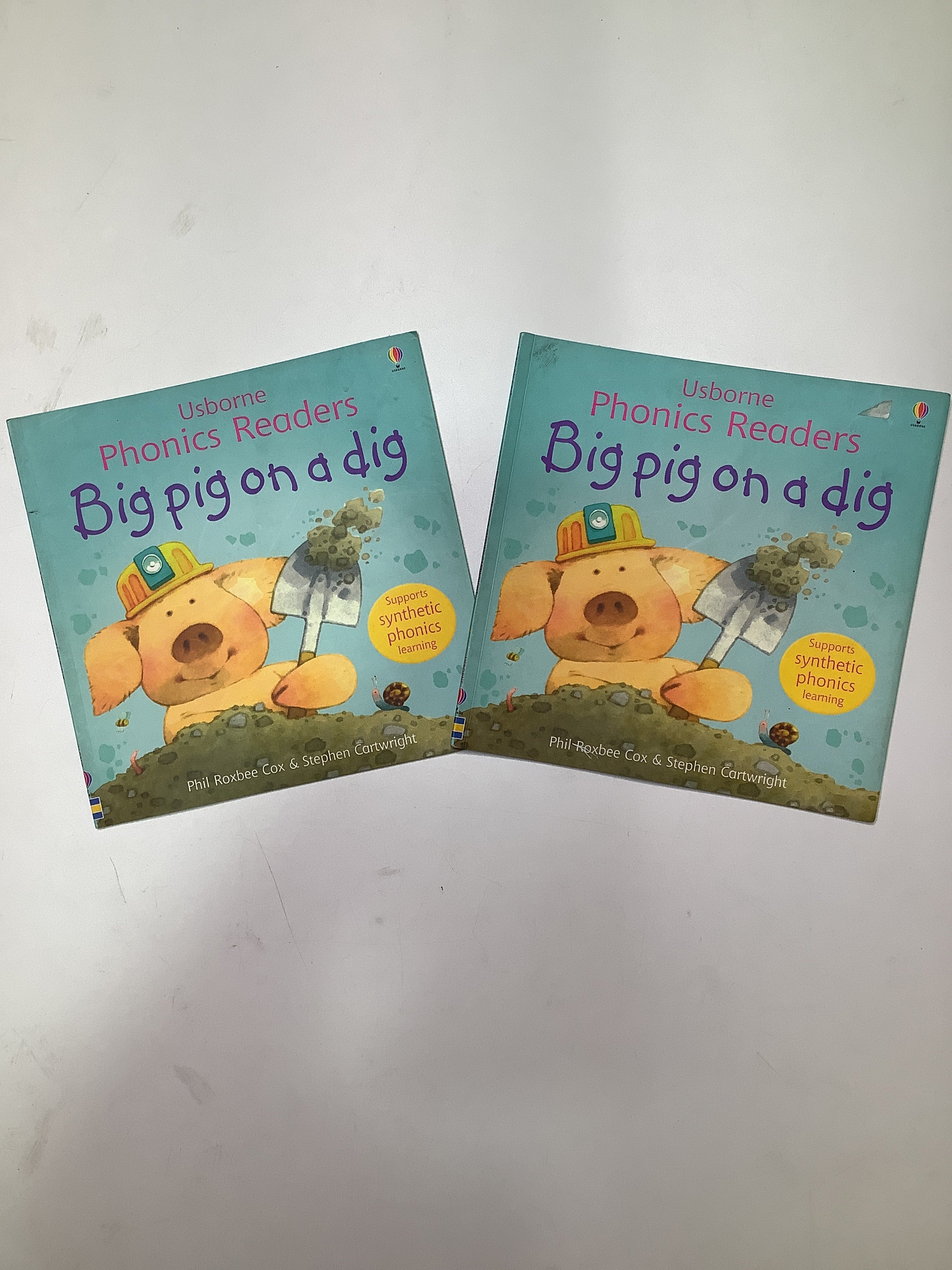Usborne Phonics Readers (Big Pig On a Dig).