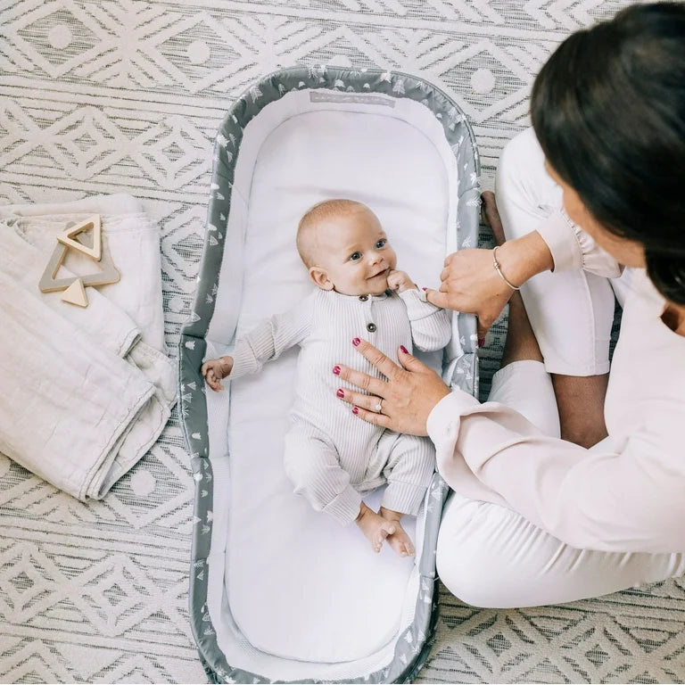 Snuggle Nest Dream (Baby Delight) Portable Infant Sleeper 0-5month
